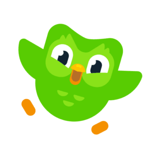 Duolingo: The Gamified Language Learning App That Boosts Key Skills